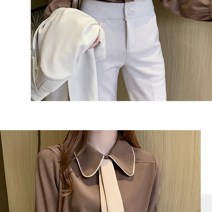 Long Sleeve Chiffon Blouse - Turn Down Collar Office Top